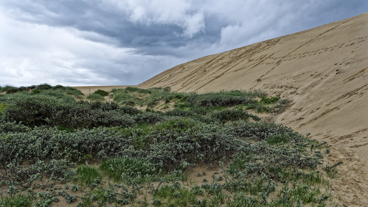 20220525 142824~Lønstrup~North Jutland~Denmark